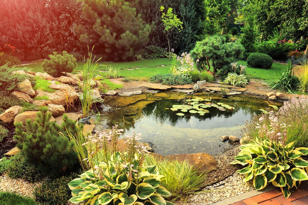 C'è uno stagno al centro del giardino circondato da piante e rocce.