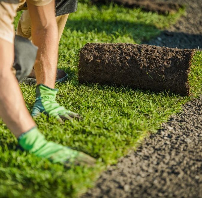 Una persona che indossa guanti verdi sta stendendo un rotolo di erba sul terreno.