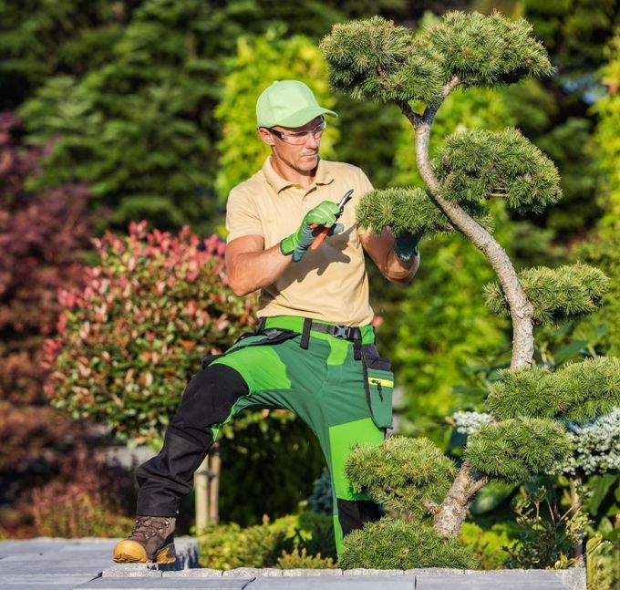 Un uomo sta tagliando un albero con un paio di forbici in un giardino.