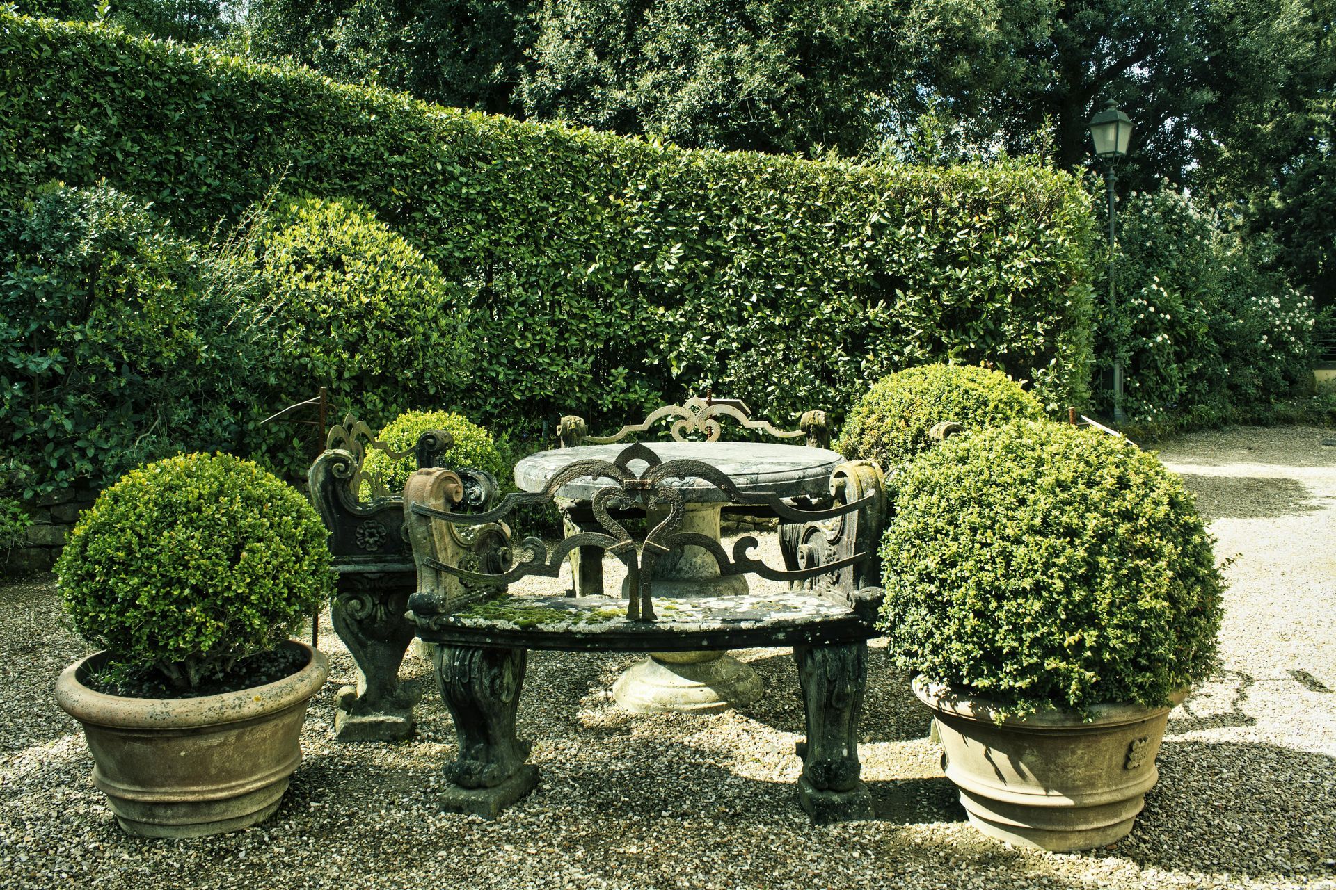 Una panchina in un giardino circondata da piante in vaso