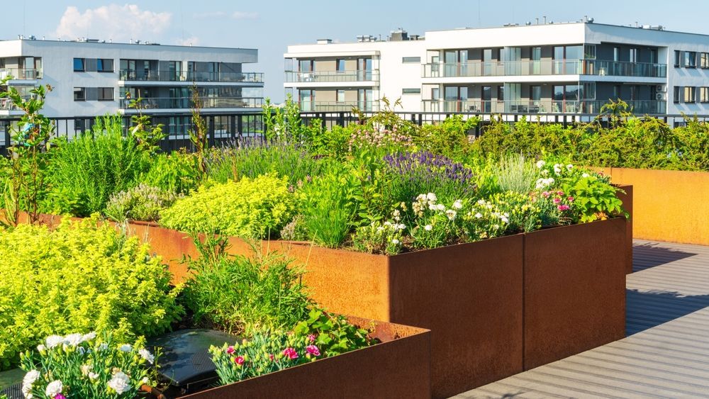 Un giardino sul tetto pieno di piante e fiori.