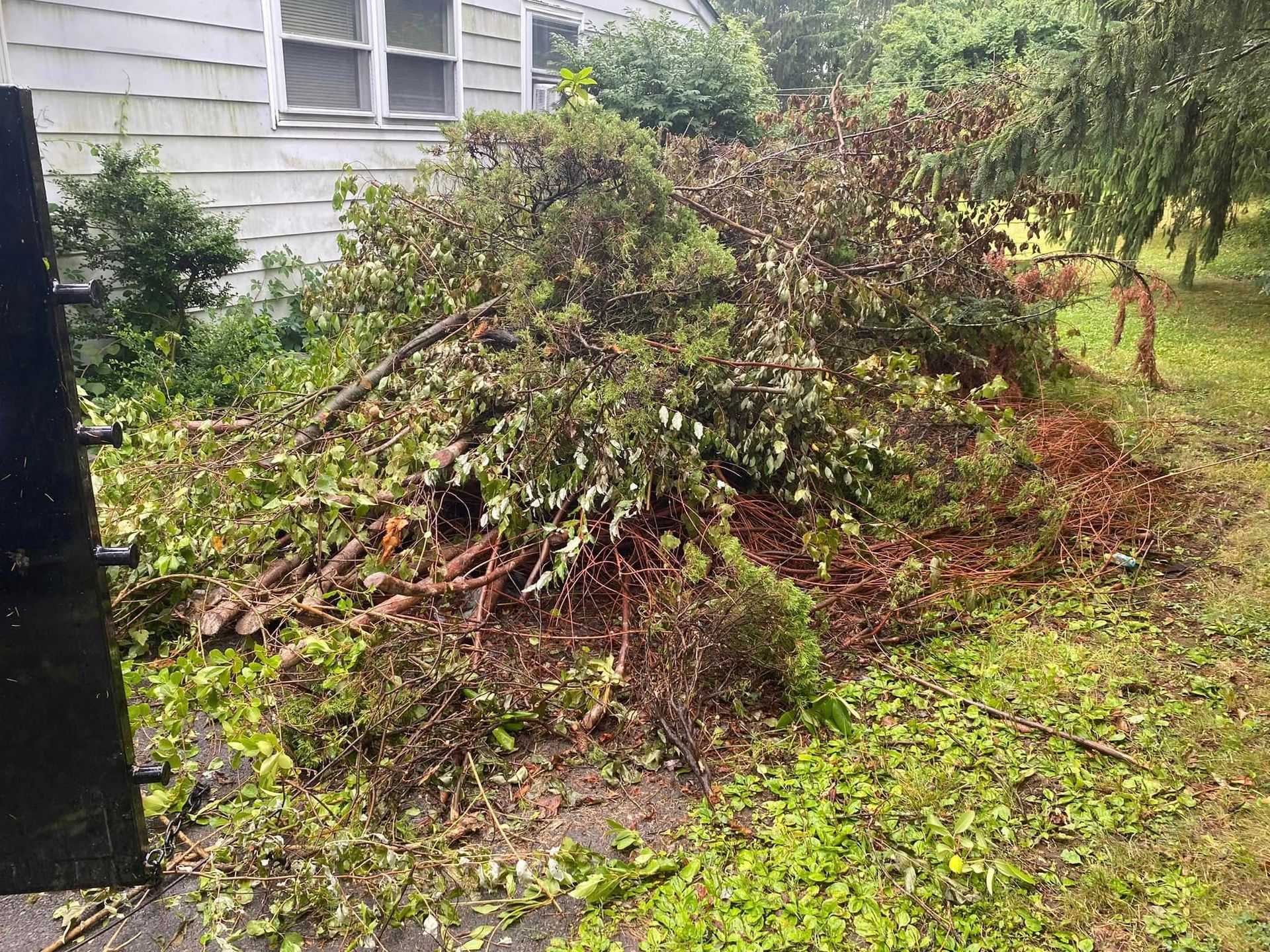A fallen tree lies on the ground next to the side of a house, surrounded by scattered branches and leaves.