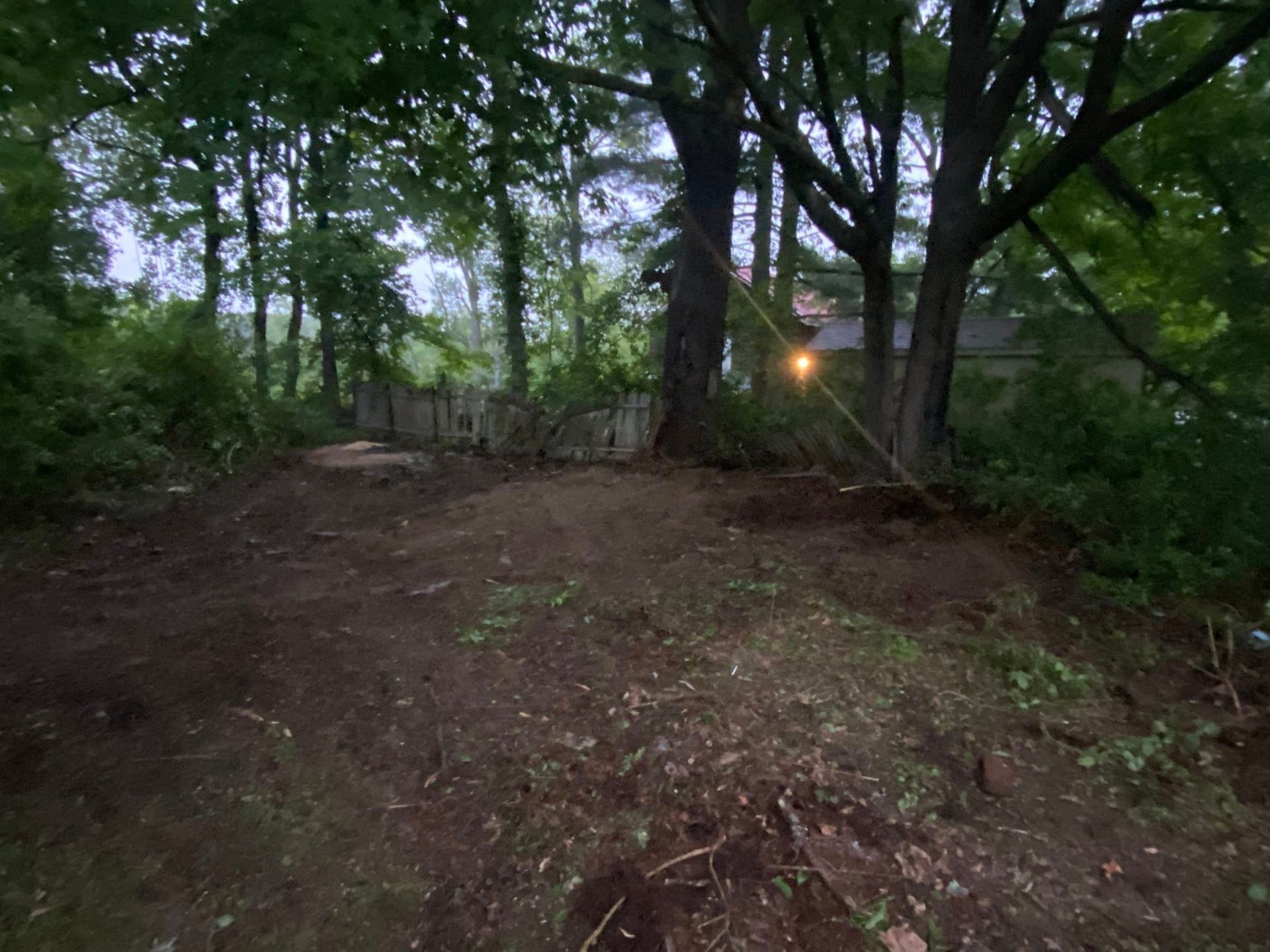 A clearing in a wooded area with exposed dirt, a low stone wall in the distance, and tall trees under a dim, overcast sky.