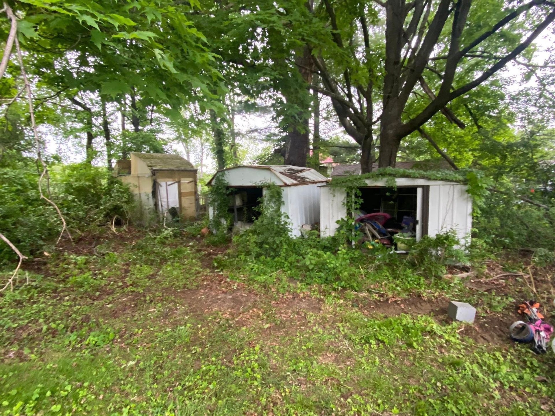Three weathered storage sheds sit in a overgrown, tree-filled yard, with one small toy visible in the foreground.