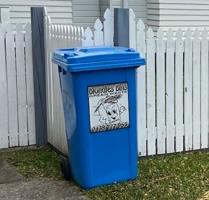 A Close Up Of A Plant With Green Leaves — Blondies Bins in East Mackay, QLD