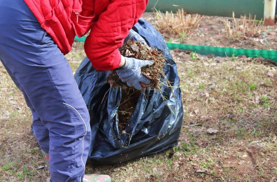 A Person Is Holding A Bag Of Dirt In Their Hands — Blondies Bins in Cannonvale, QLD