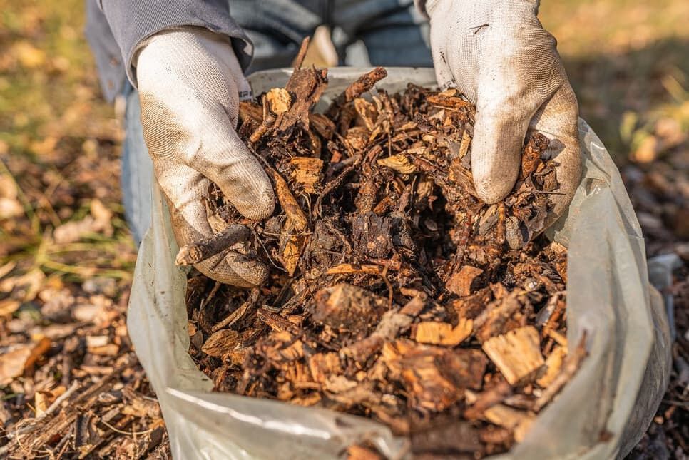 A Person Is Holding A Bag Of Wood Chips In Their Hands — Blondies Bins in Proserpine, QLD