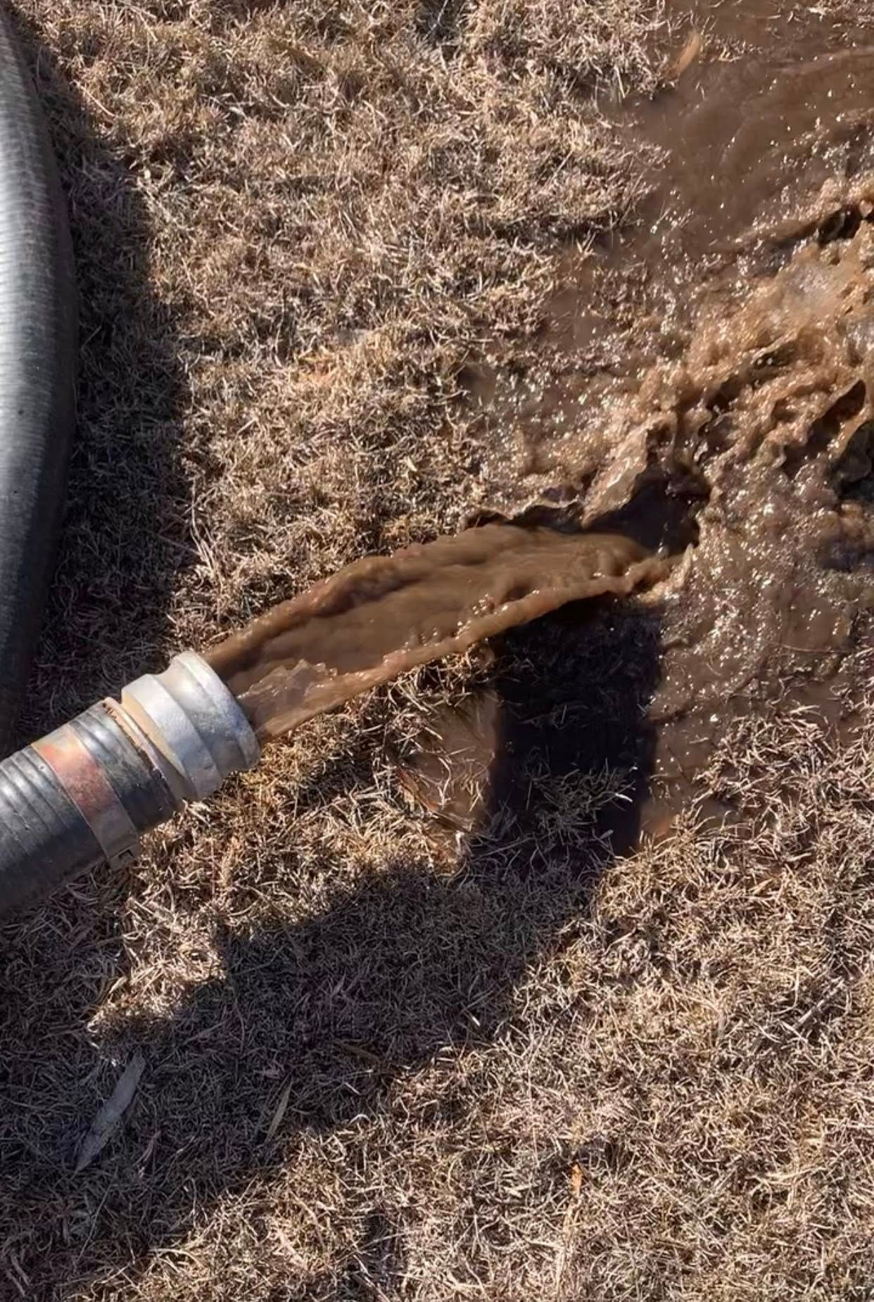 Hose spews brown muddy water onto dry, brown grass.