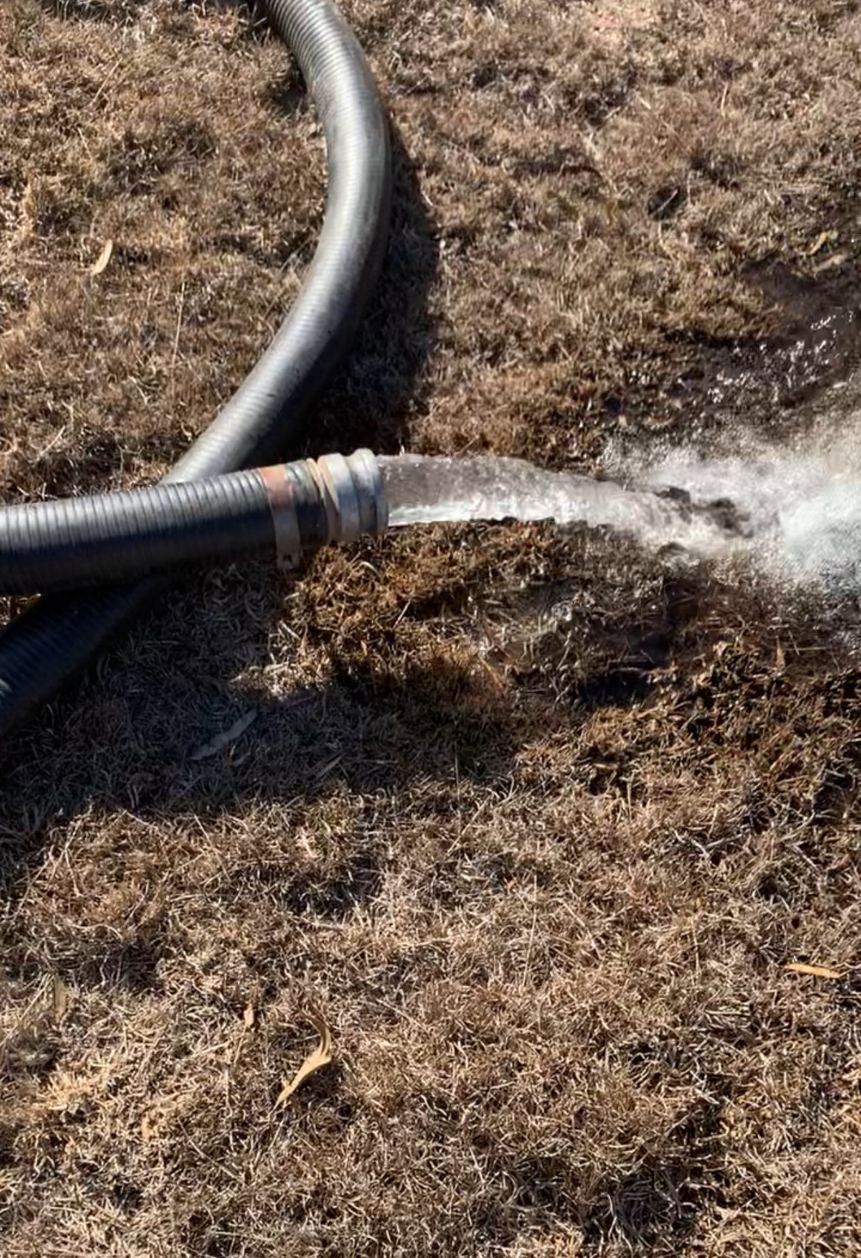 A black hose sprays water onto dry, brown grass.