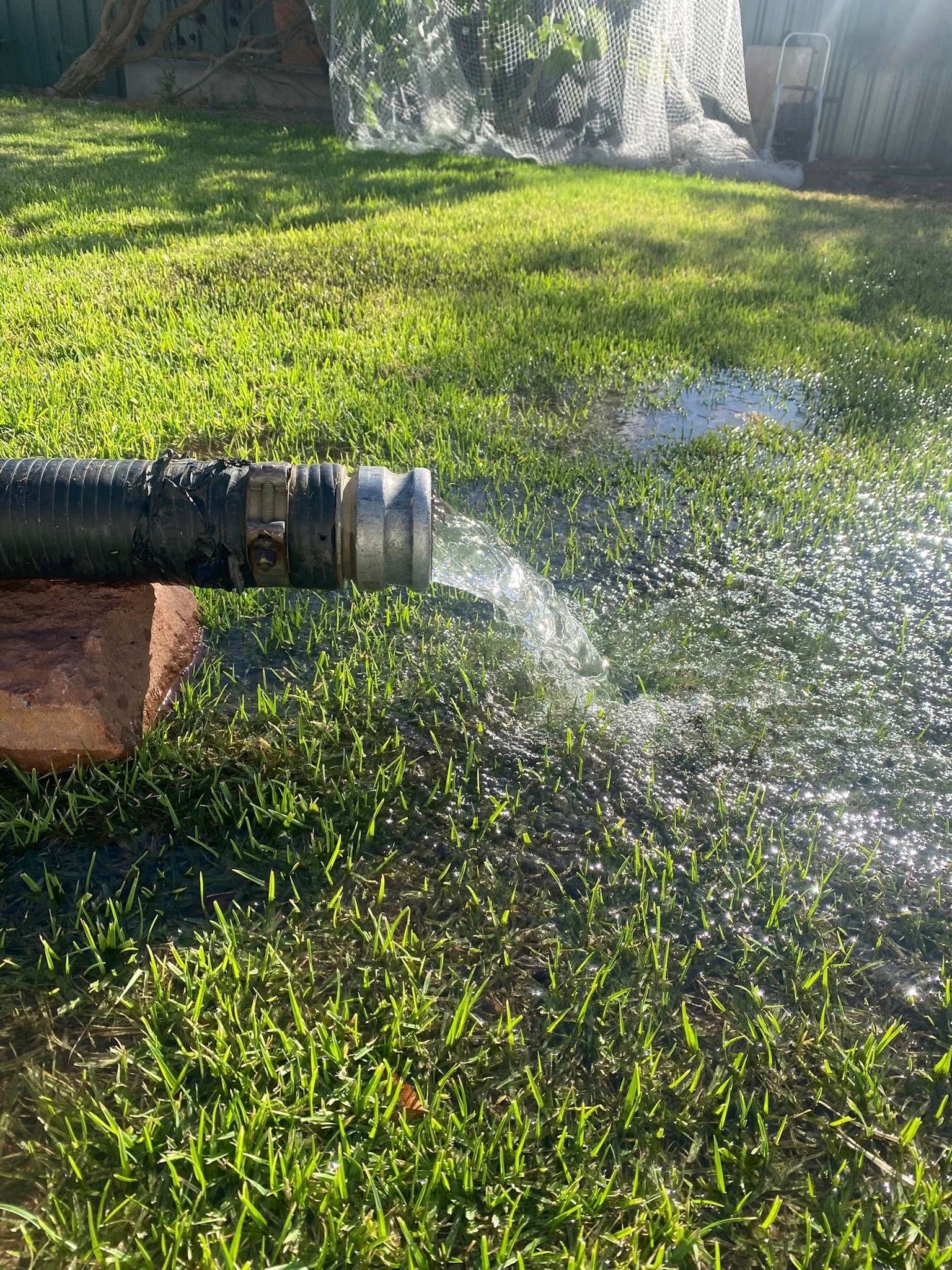 Water spraying from a black hose onto green grass in a sunny outdoor setting.