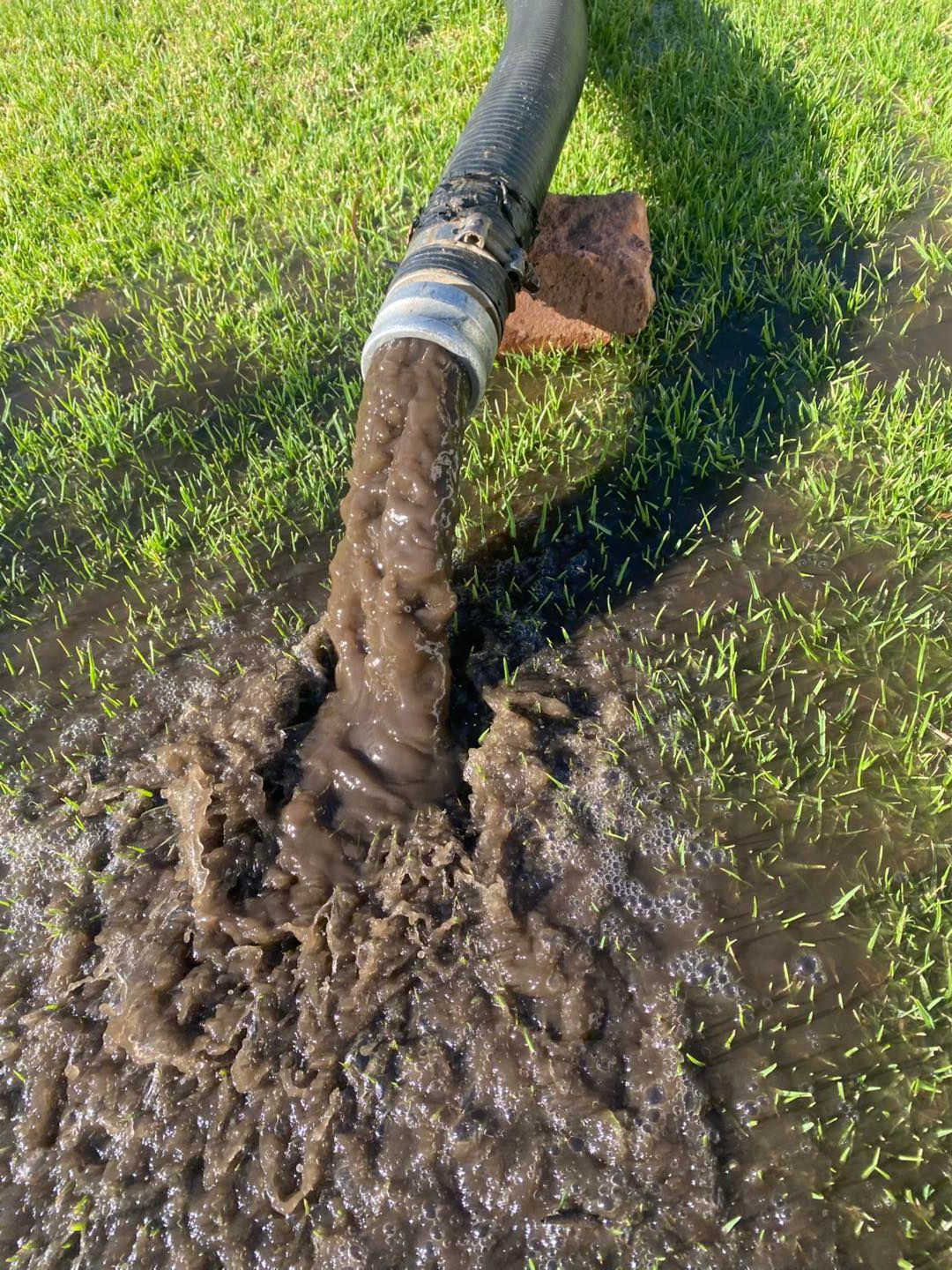 A hose spews dark, murky water onto grass, creating a puddle.