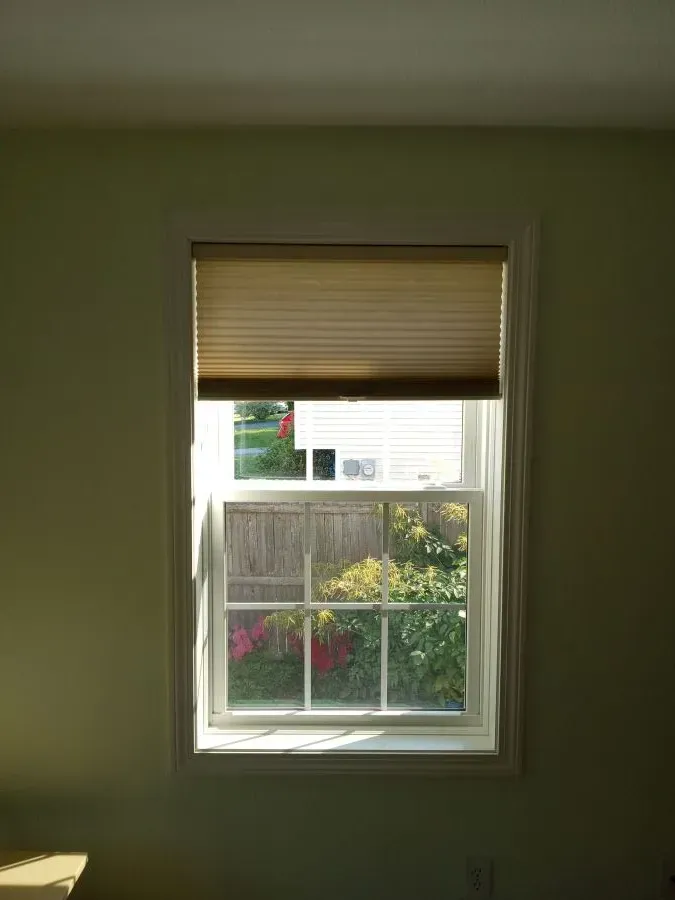 Replacement vinyl windows