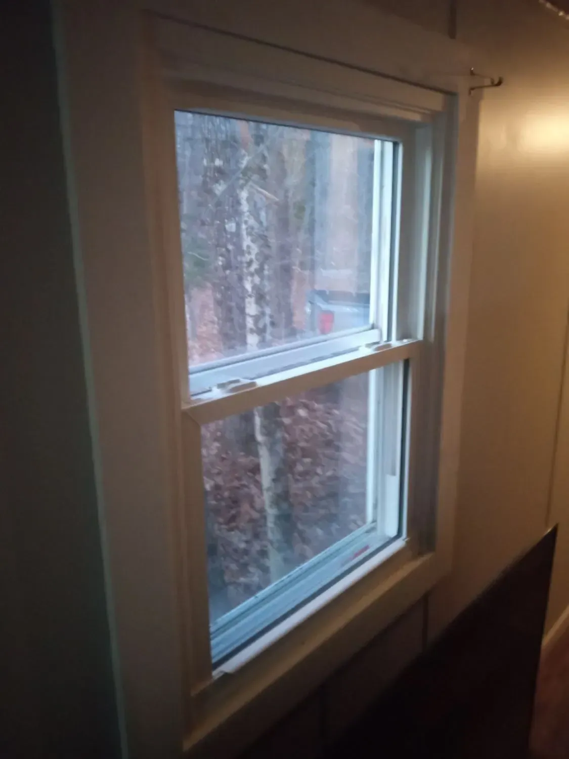 A window with a view of trees in a room.