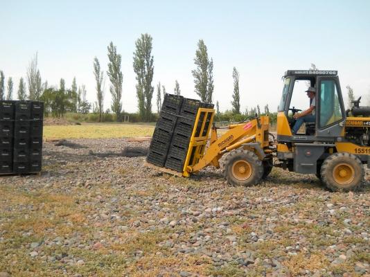 Pantano Jose jorge e hijos