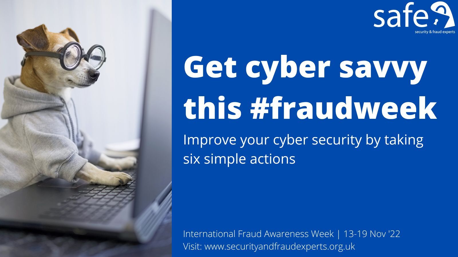 IFAW Get Cyber Savvy Image