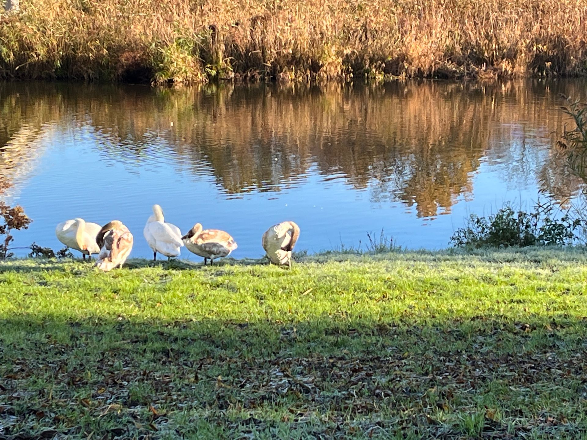 Onze week: Dustin jarig, veel cadeaus, taart, sneeuw en naar de kapper