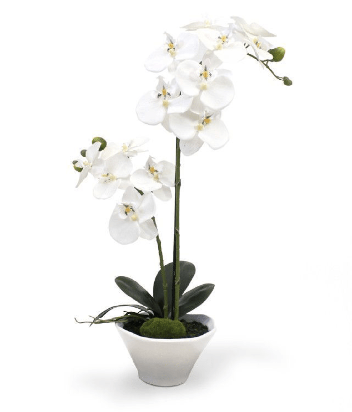kunst orchidee van Maxifleur