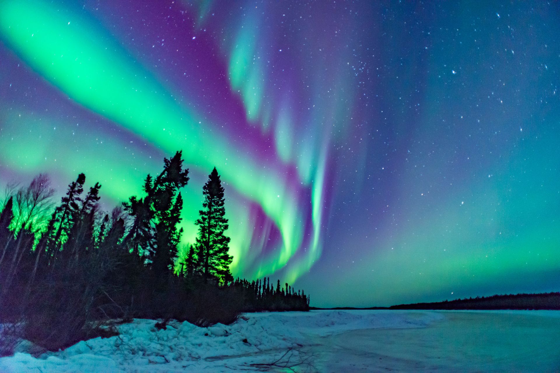 The aurora borealis is dancing in the night sky over a snowy forest.