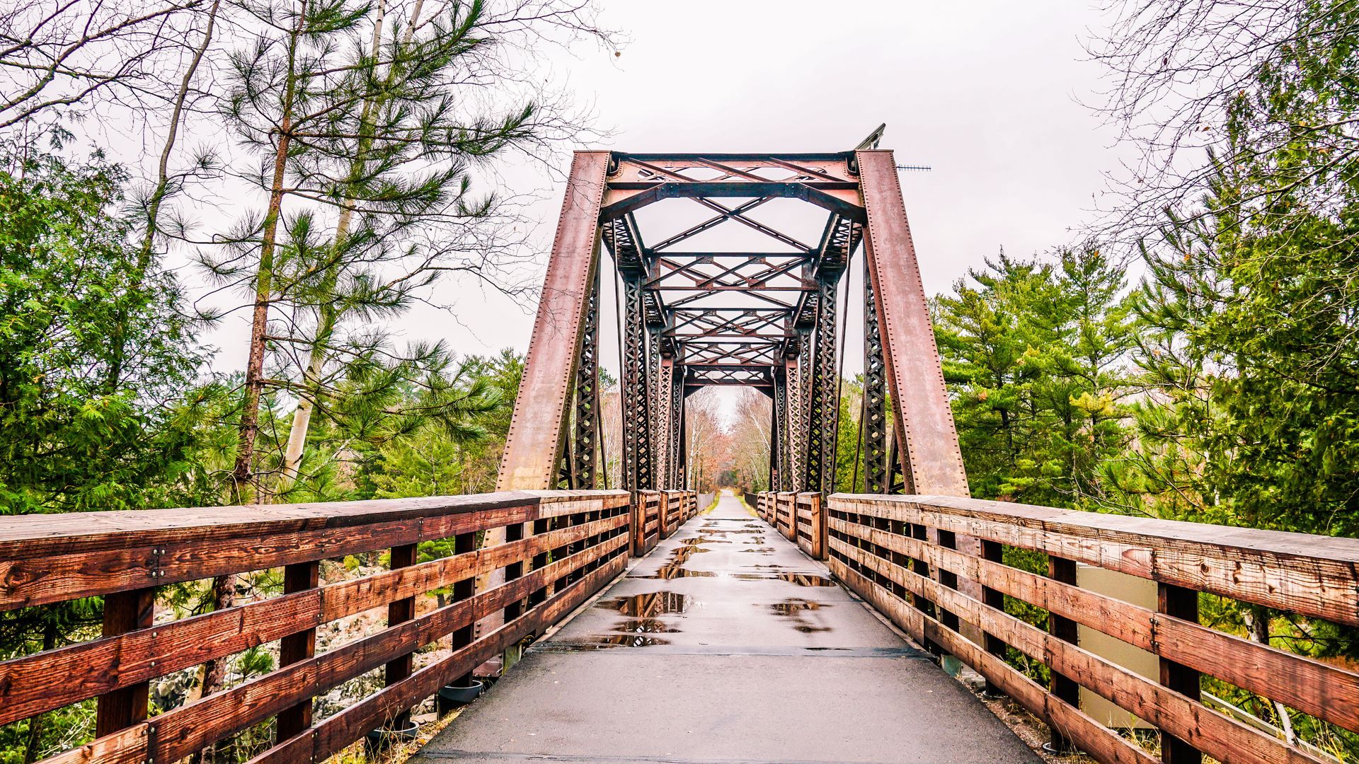 A bridge with a wooden railing and trees in the background.