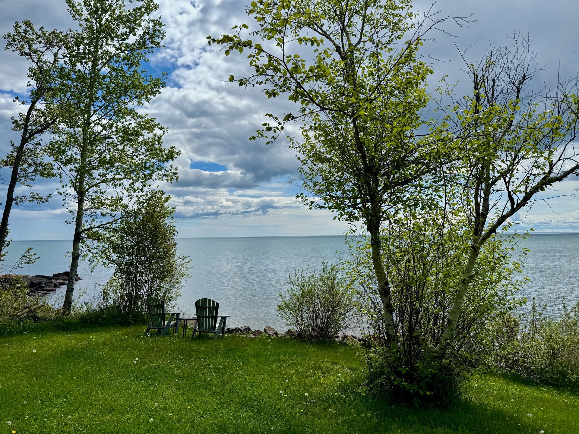 A lawn with chairs and trees next to a body of water