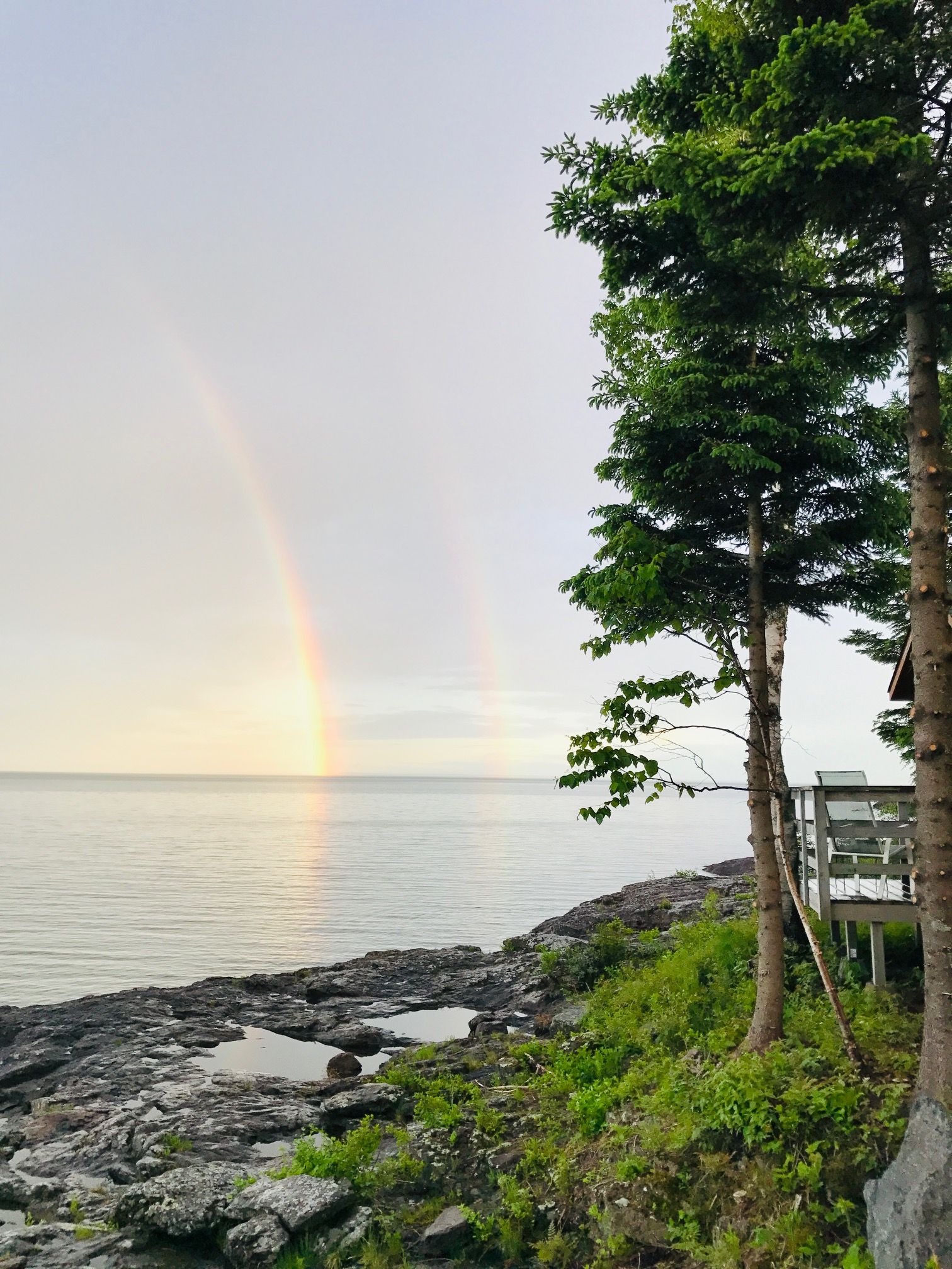 A rainbow over the ocean with trees in the foreground