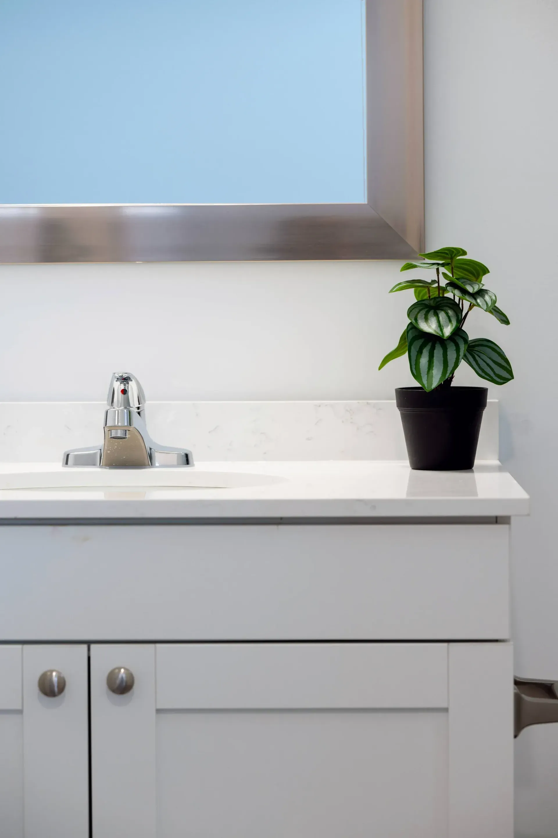 White bathroom vanity with sink, chrome faucet, framed mirror, and potted plant.
