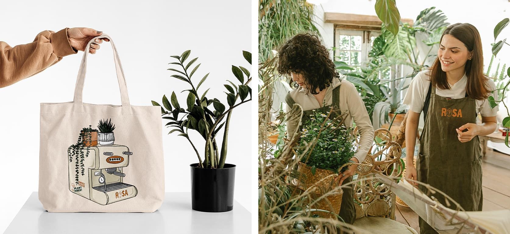 Female plant lover tending to indoor greenery, representing plant café aesthetic.
