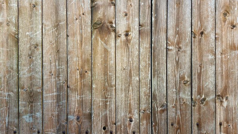 Maintain and protect your fence