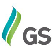 GS GROUP