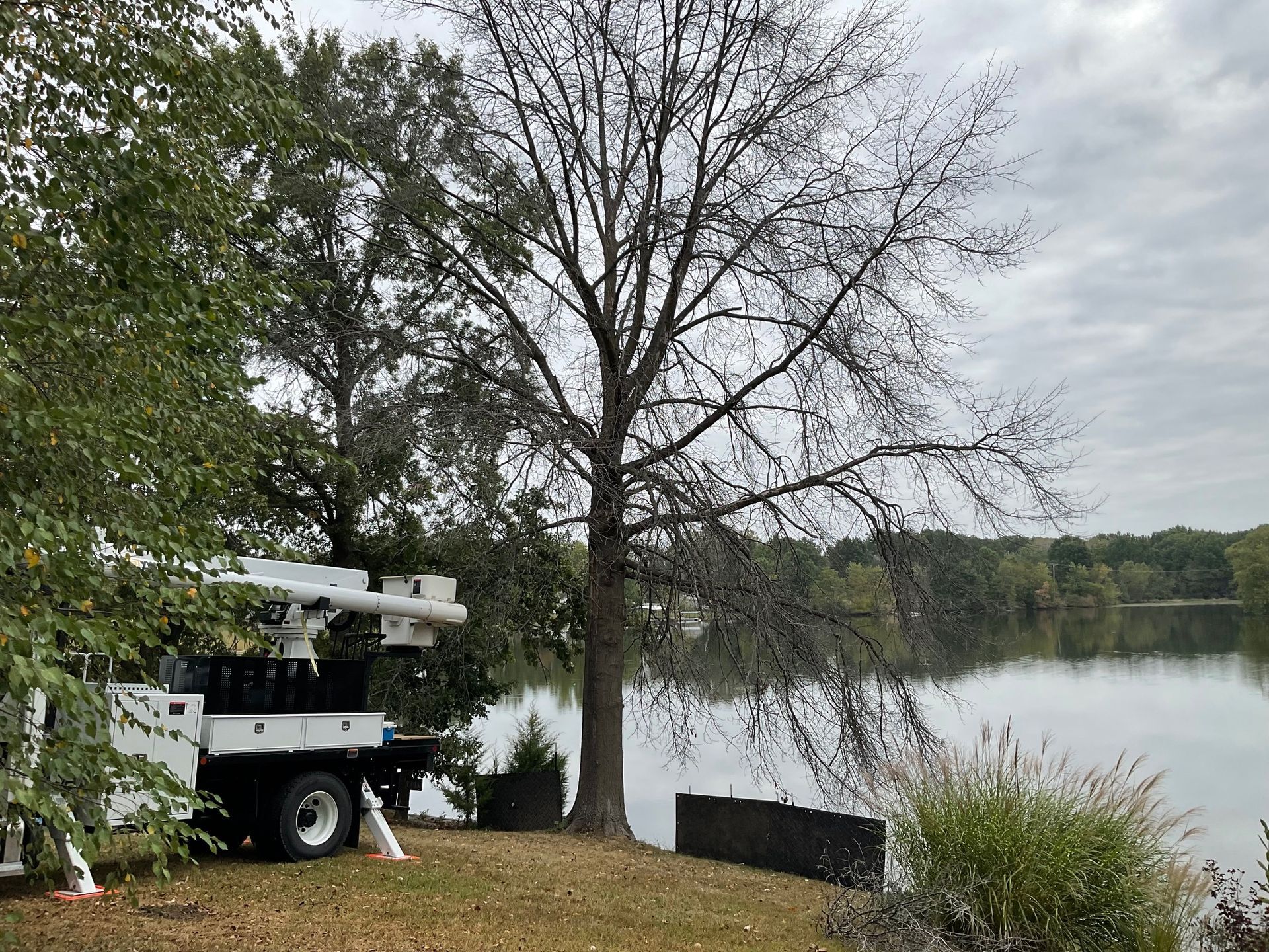 A picnic area with a gazebo and picnic tables in a park.