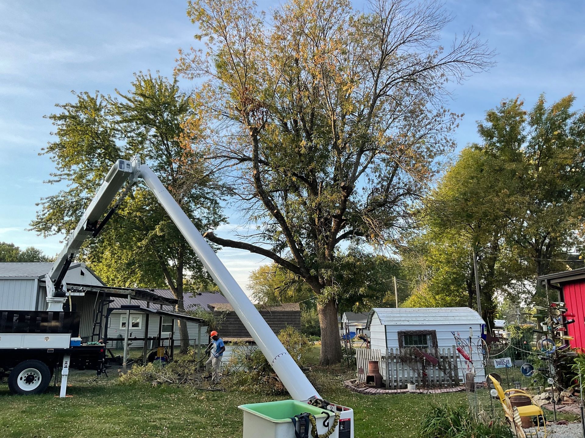 A crane is cutting a tree in a backyard.