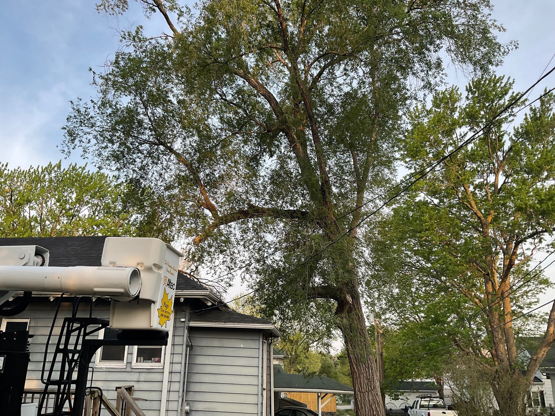 A house with a large tree in front of it.