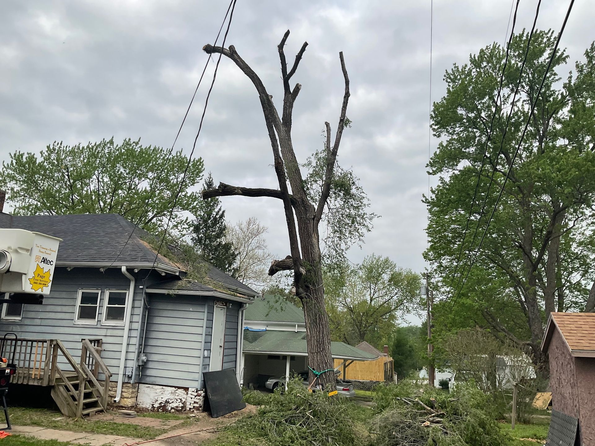 A lush green field surrounded by trees on a sunny day