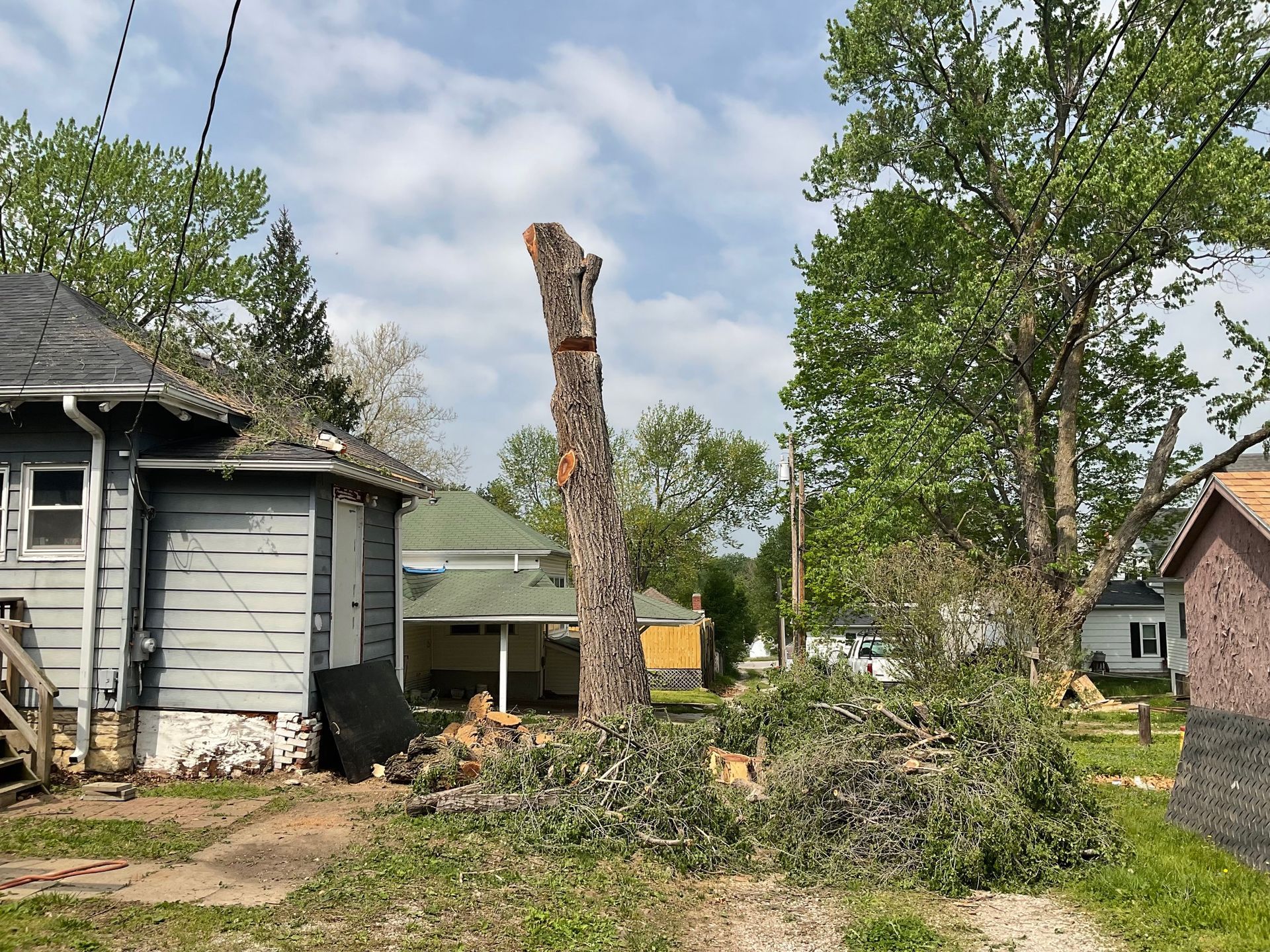 A tree that has been cut down in front of a house