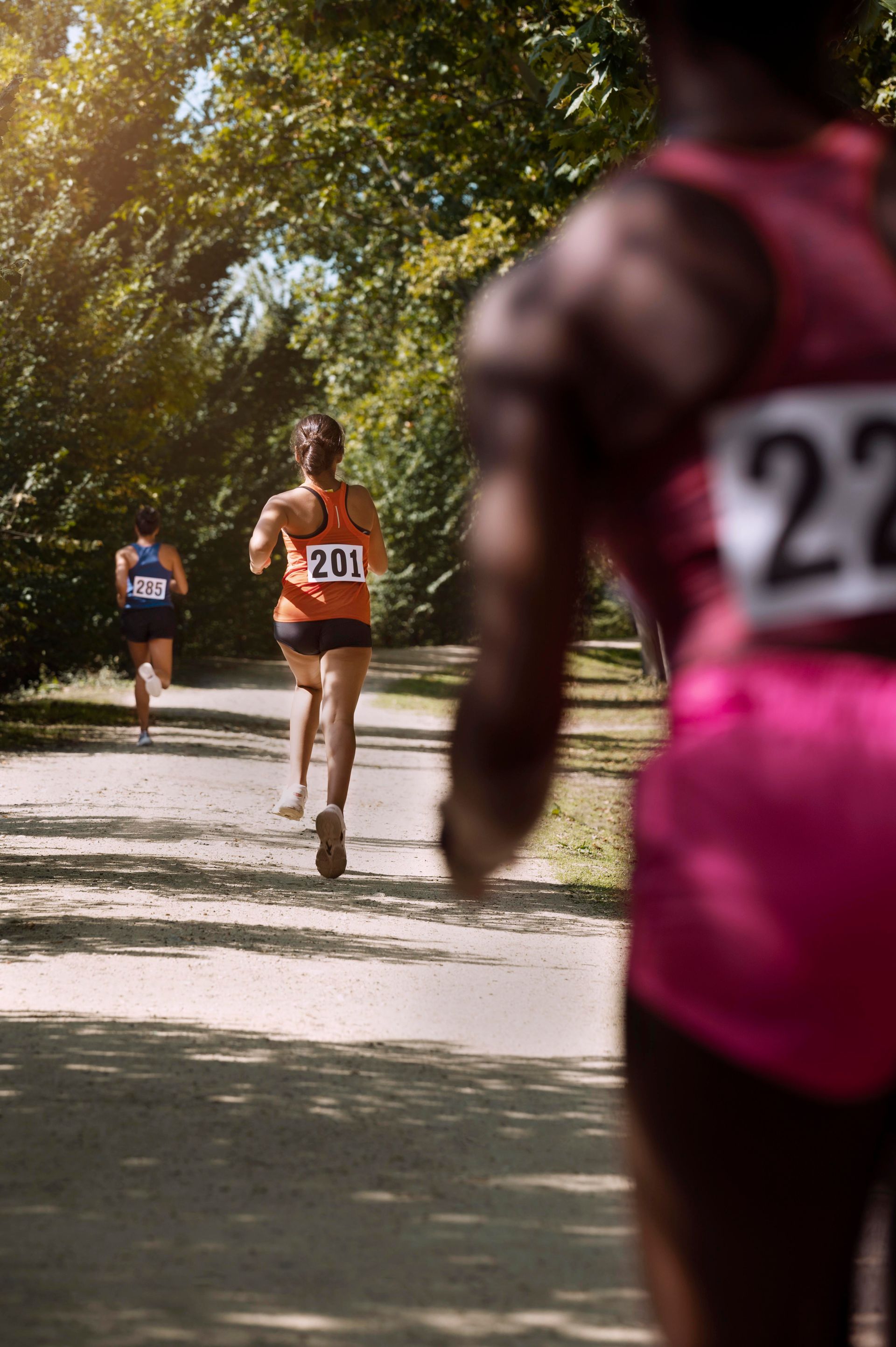 Des coureurs participent à une course sur un chemin bordé d'arbres. Gros plan sur les coureurs portant les dossards : 201 et 22.