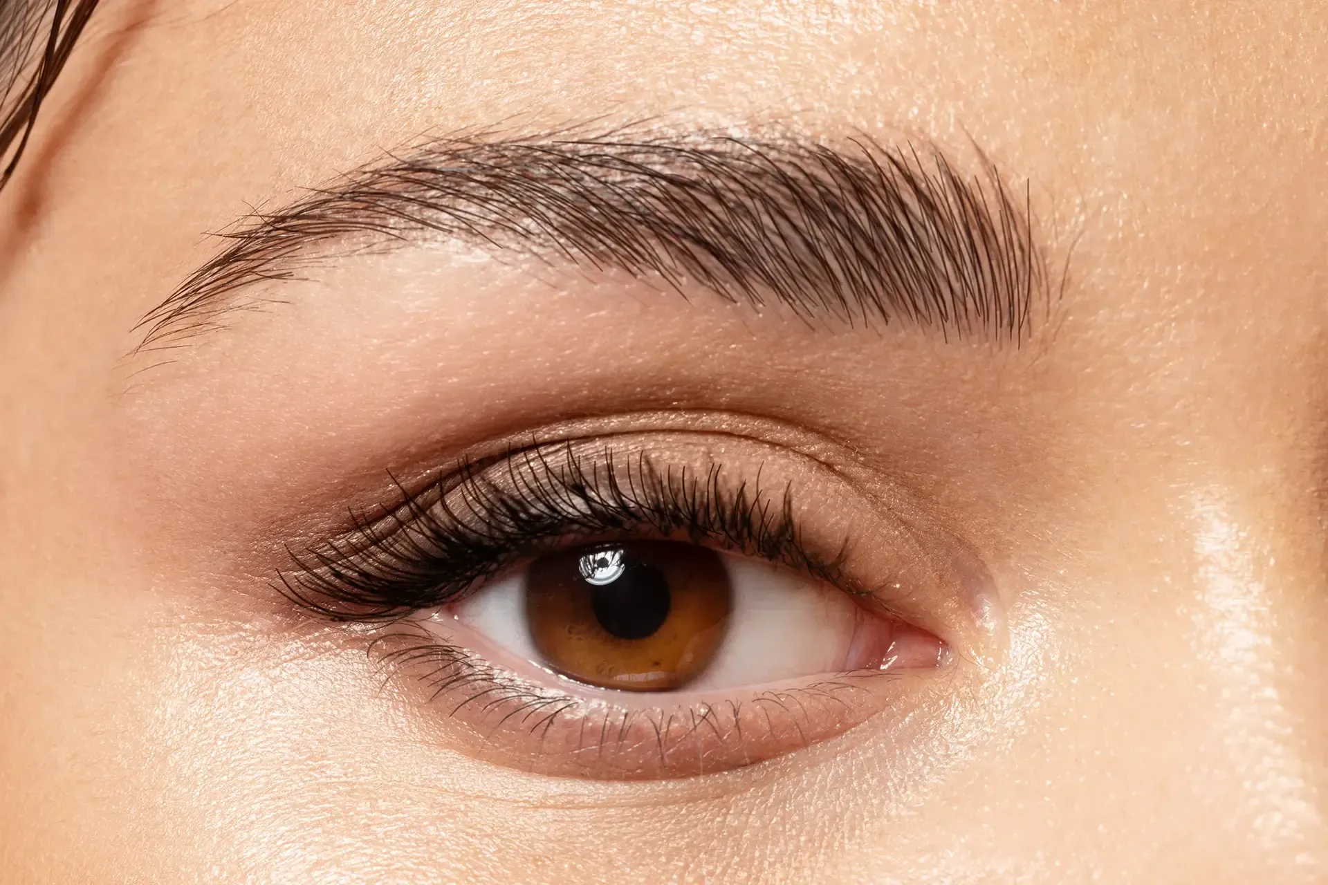 Close-up of a person's eye with thick, styled eyebrows, long eyelashes, and subtle eye makeup.