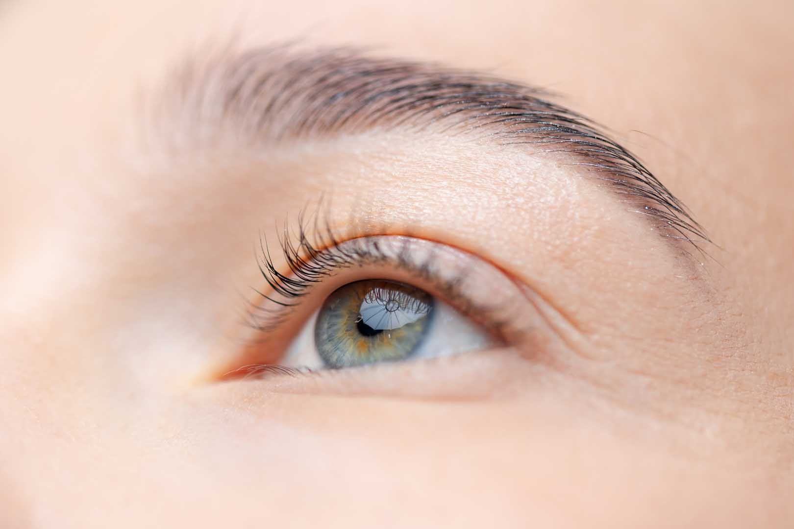 Close-up of a blue-green eye looking upward, with a neatly shaped eyebrow and long eyelashes.