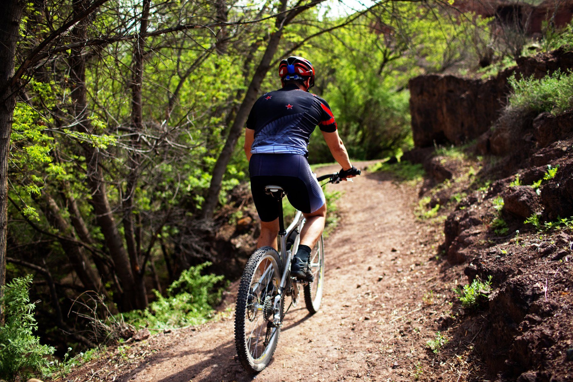 Mountain biker riding on a dirt trail surrounded by lush greenery.