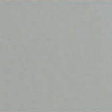 GRIGIO MARTELLATO RAL