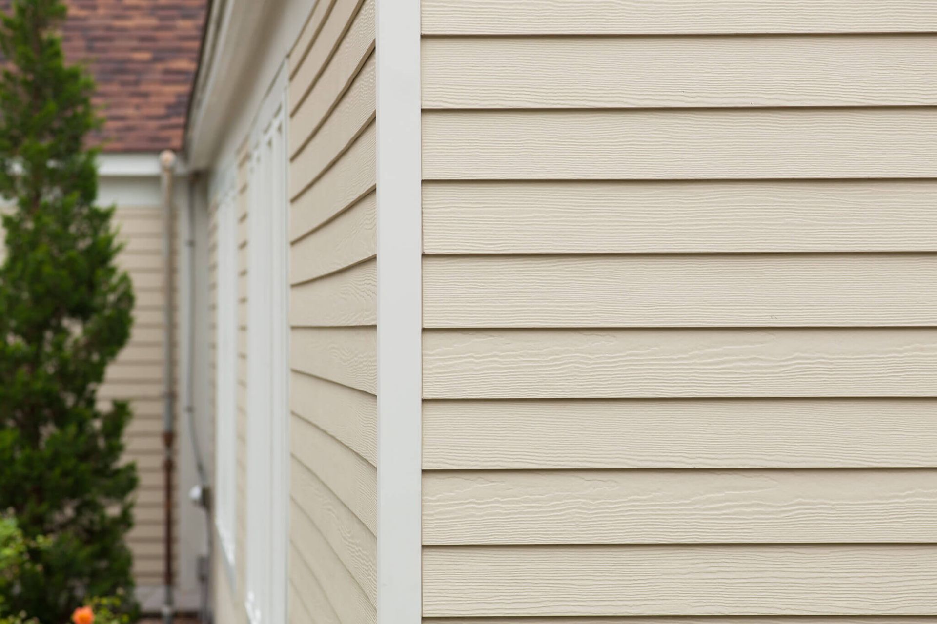 Beige siding on a house corner with white trim, near a tree.