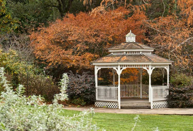 pergola surrounded by trees