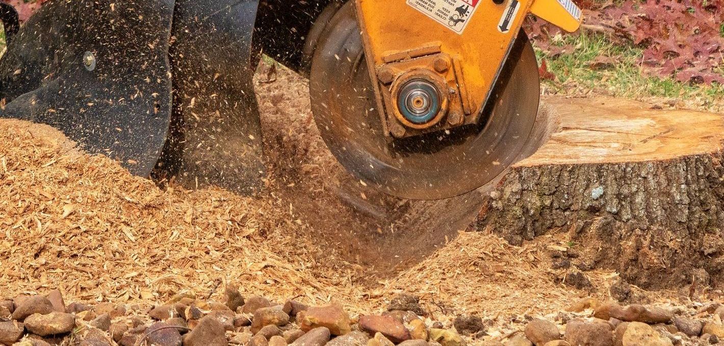 Une dessoucheuse en train de couper une souche d'arbre, projetant des copeaux de bois partout.