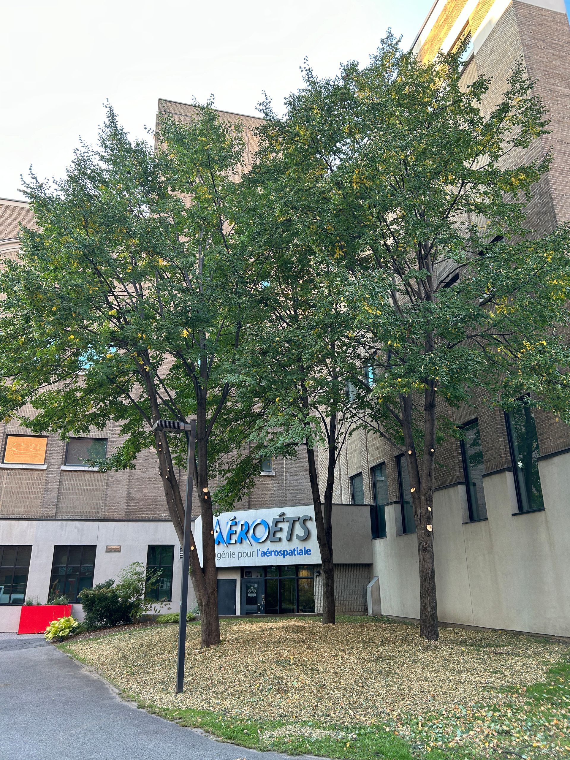 Un bâtiment avec beaucoup d'arbres devant lui.