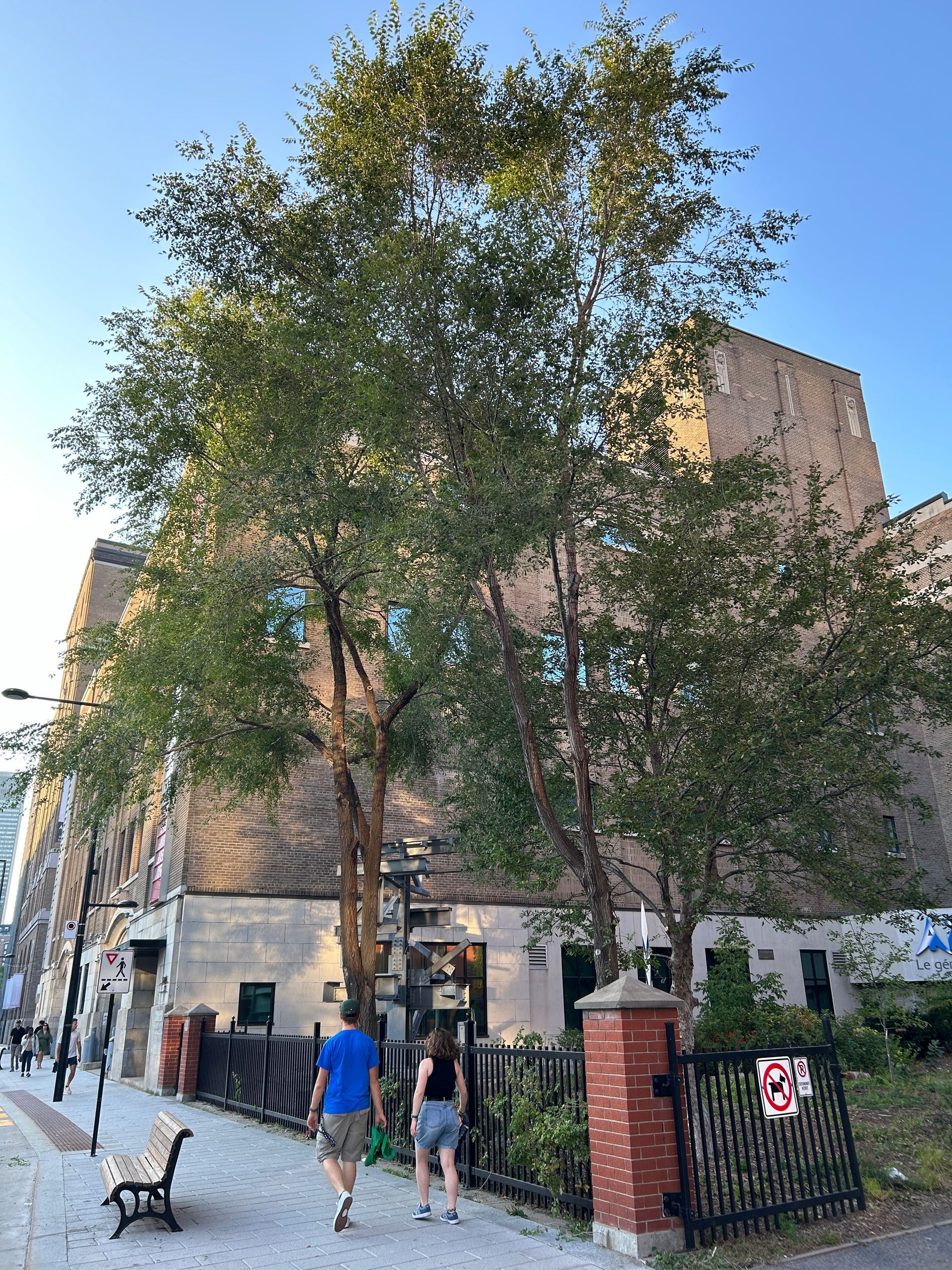 Un groupe de personnes marche sur un trottoir devant un bâtiment.