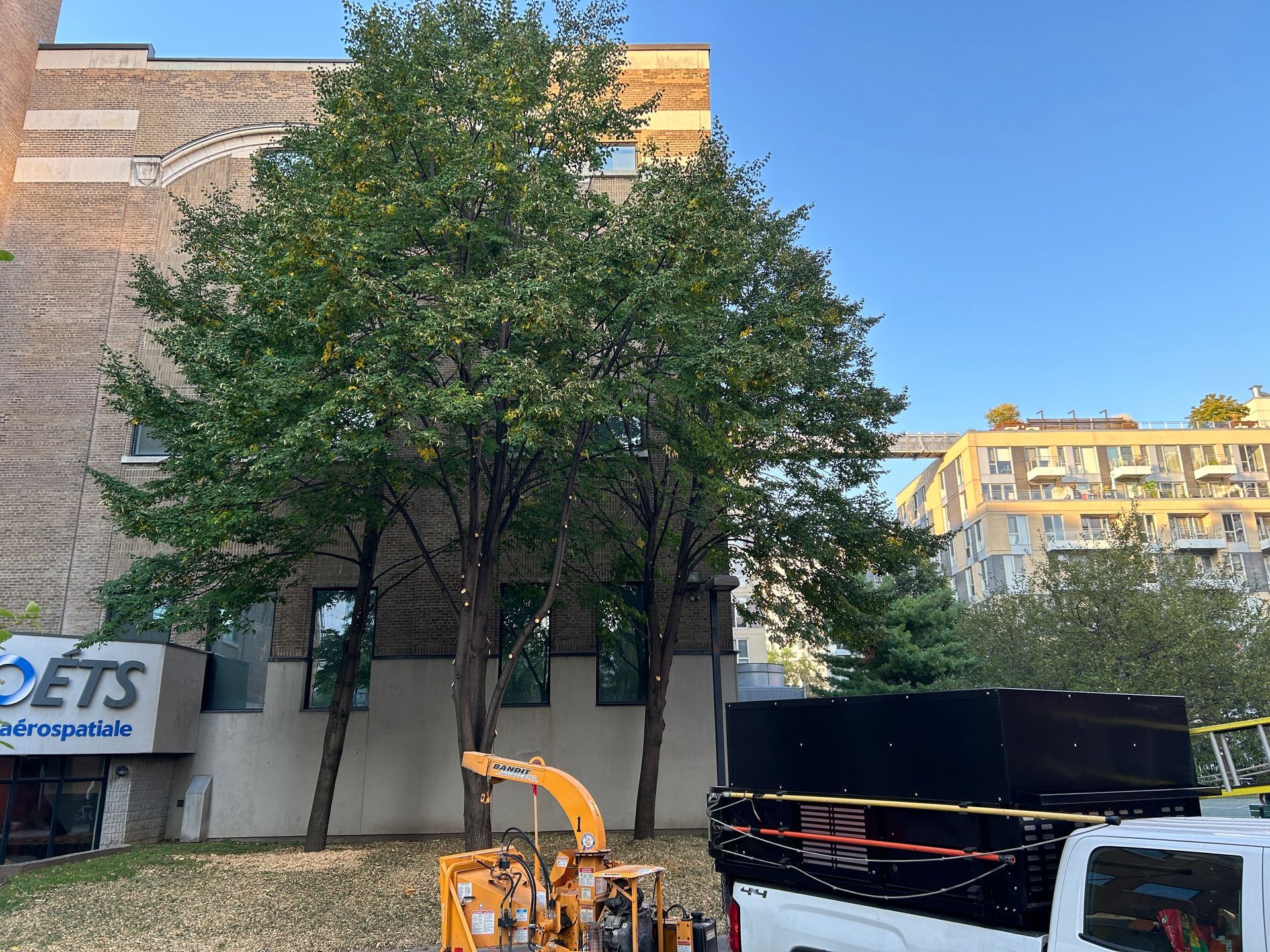 Un camion est garé devant un bâtiment à côté d'un broyeur d'arbres.