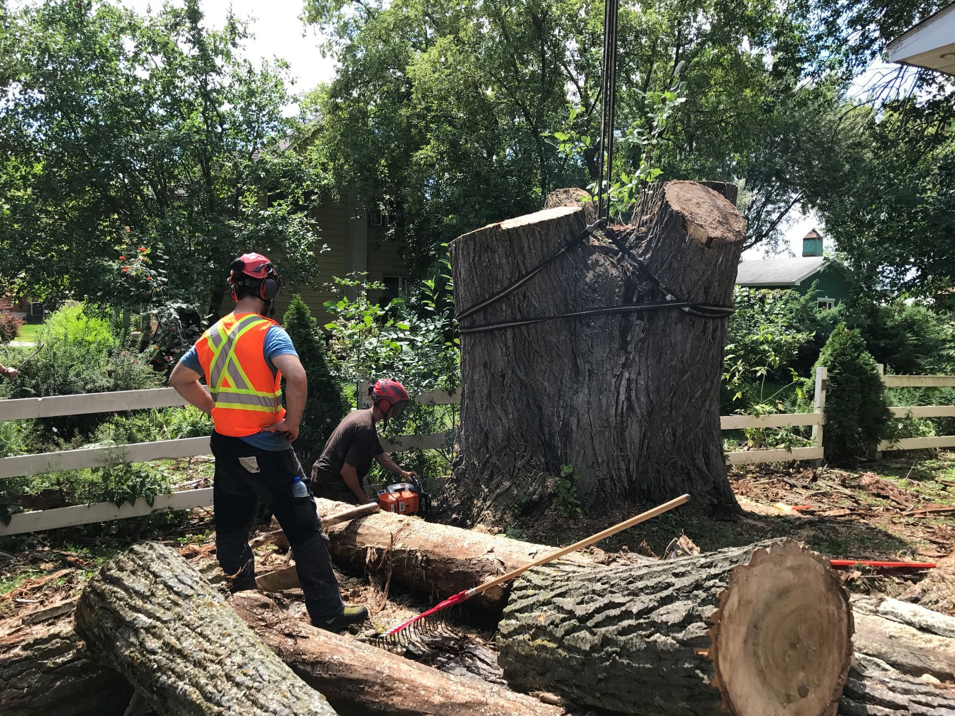 Un groupe d'hommes se tient autour d'une grande souche d'arbre.