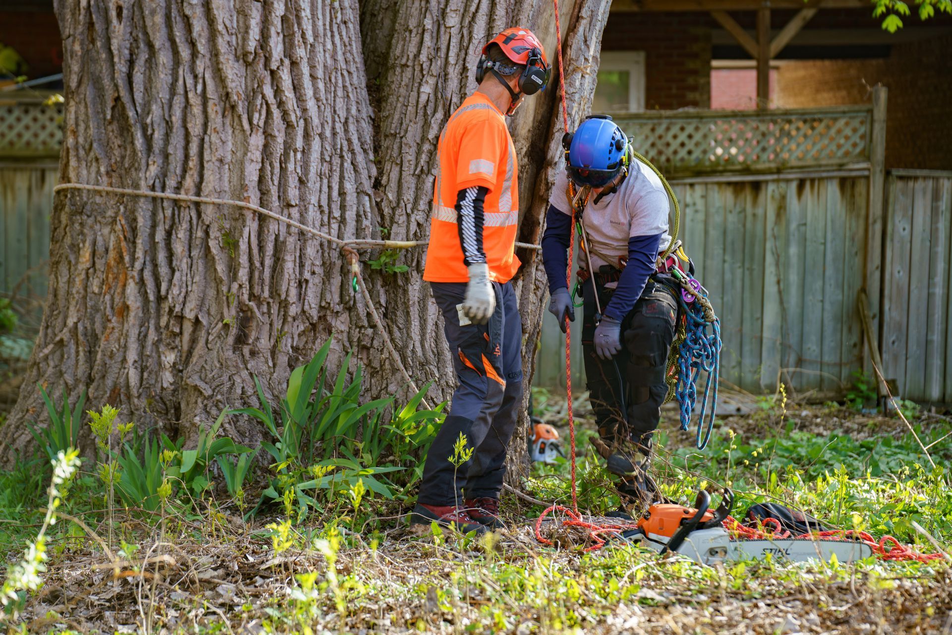 Deux hommes se tiennent à côté d'un arbre avec une tronçonneuse.