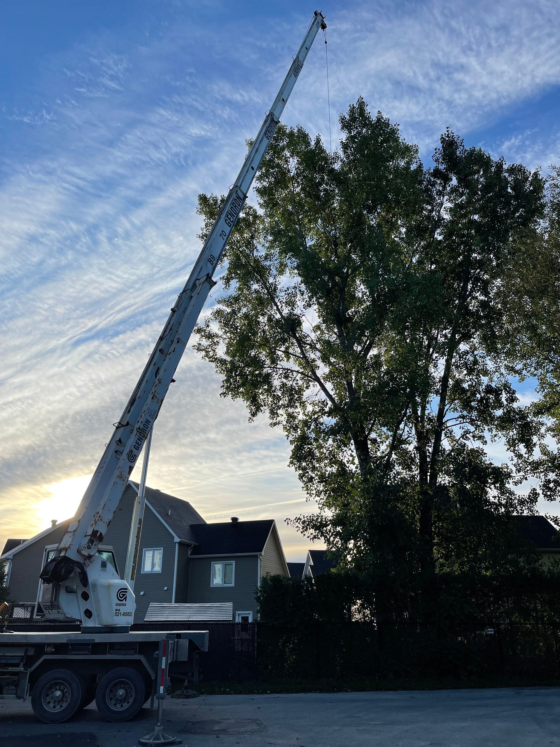 Une grande grue soulève un arbre devant une maison.