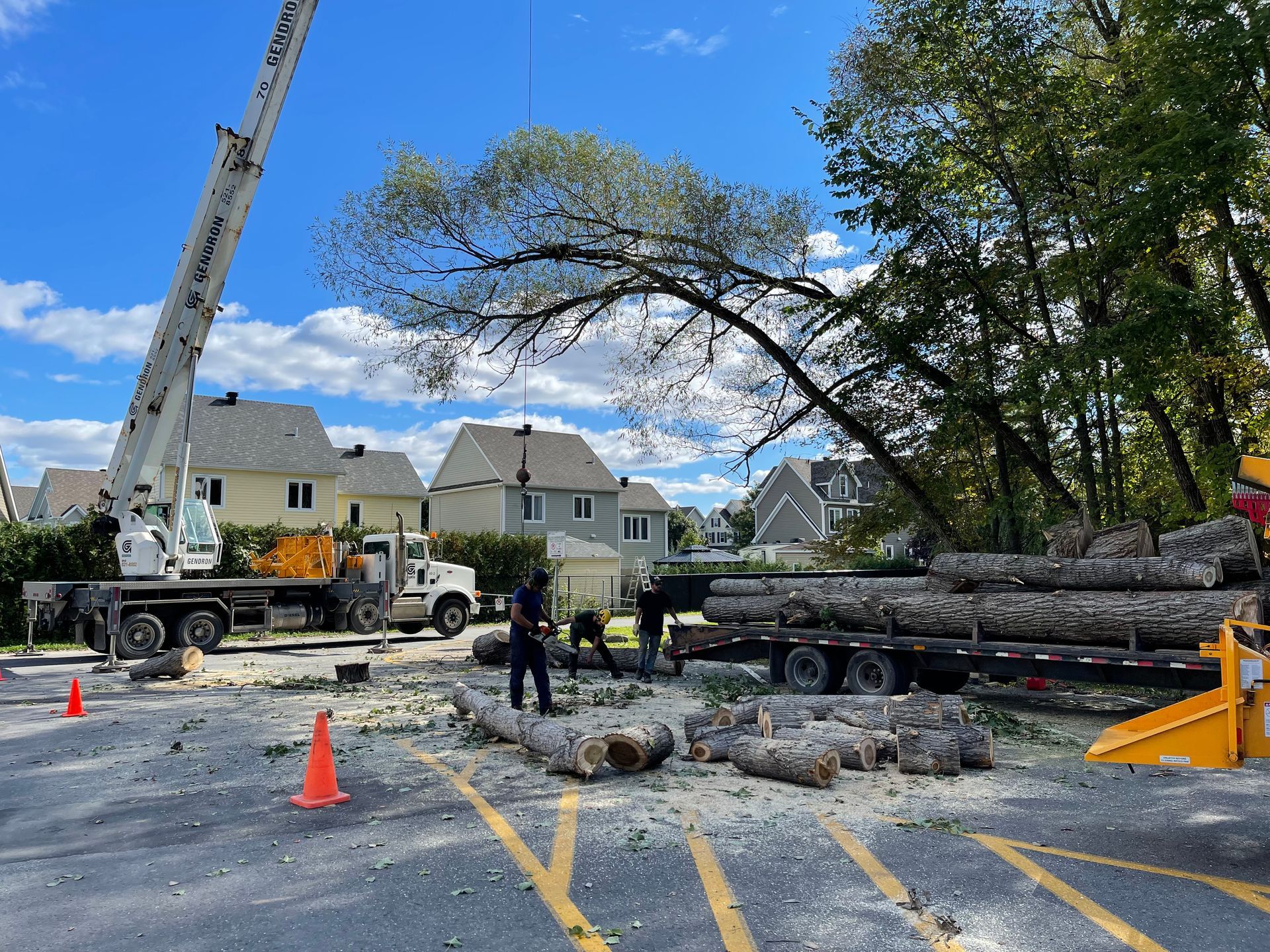Une grue soulève un arbre dans un parking.