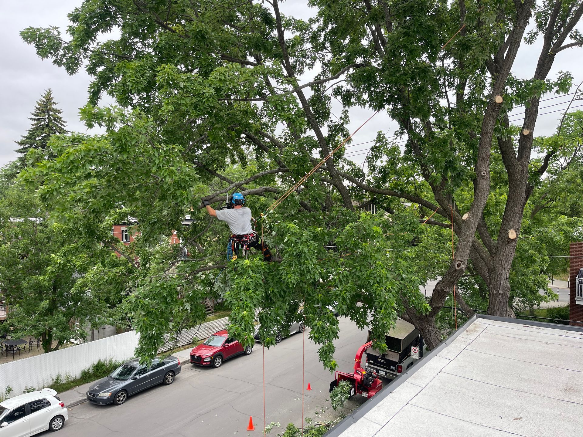 Un homme coupe un arbre du toit d'un bâtiment.